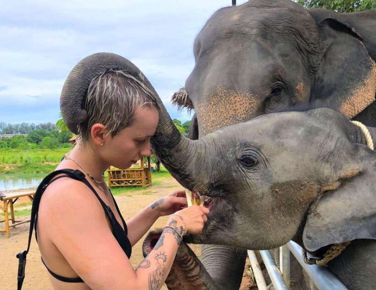phuket-city-tour-with-viewpoints-temples-elephant-feeding