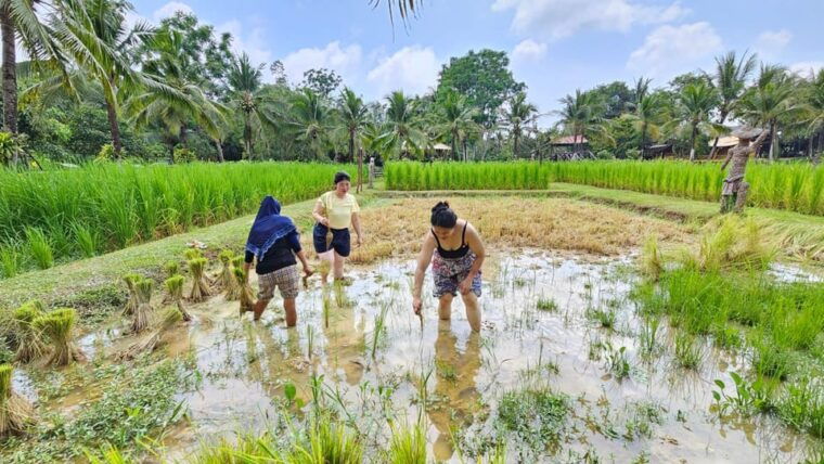 phuket-full-day-local-life-culture-tour-with-pickup-lunch