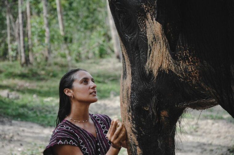phuket-half-day-or-2-hour-ethical-elephant-care-sanctuary