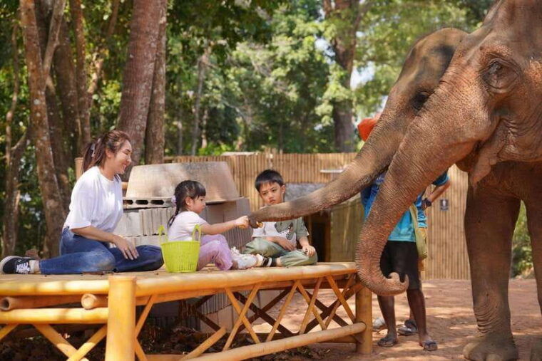 phuket-meet-feed-relax-with-elephant