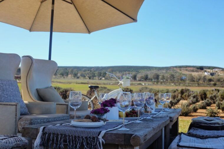 picnic-among-lavender