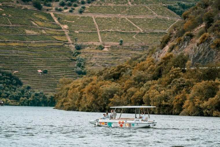 pinhao-douro-river-electric-boat-tour-with-wine-tasting