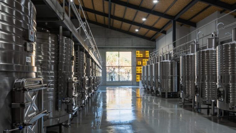 pinhao-quinta-da-formigosa-vineyard-tour-and-wine-tasting