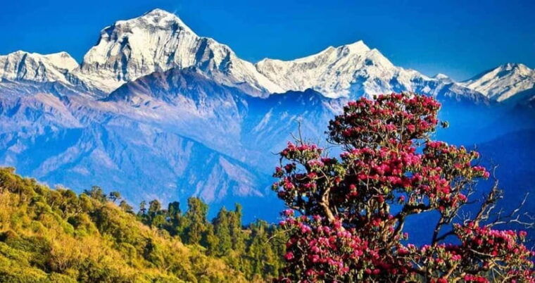 pokhara-3-days-trek-to-poon-hill