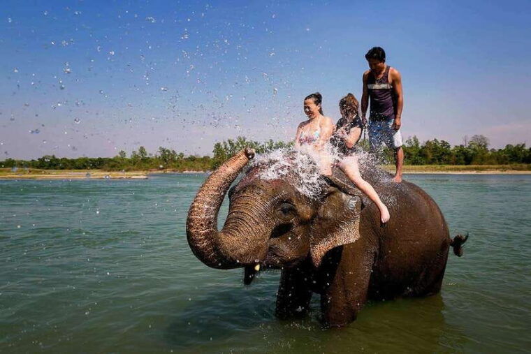 pokhara-or-kathmandu-3-day-chitwan-jungle-safari-tour