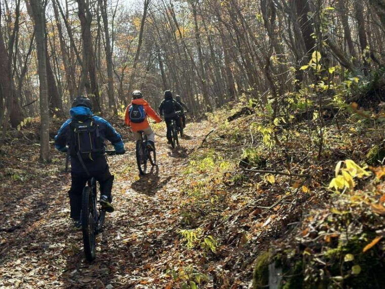 pokhara-peace-pagoda-to-pokhara-downhill-mountain-bike-ride
