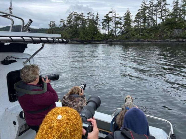 port-alice-sea-otter-and-wildlife-tour-6-hour-with-lunch