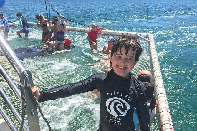 Port Stephens Private Tour From Sydney, with Dolphin/ Whale Cruise Options - Who Is This Tour Best Suited For?