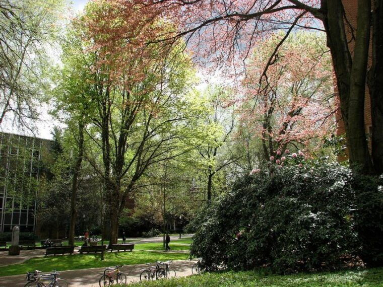 portland-guided-city-bus-tour