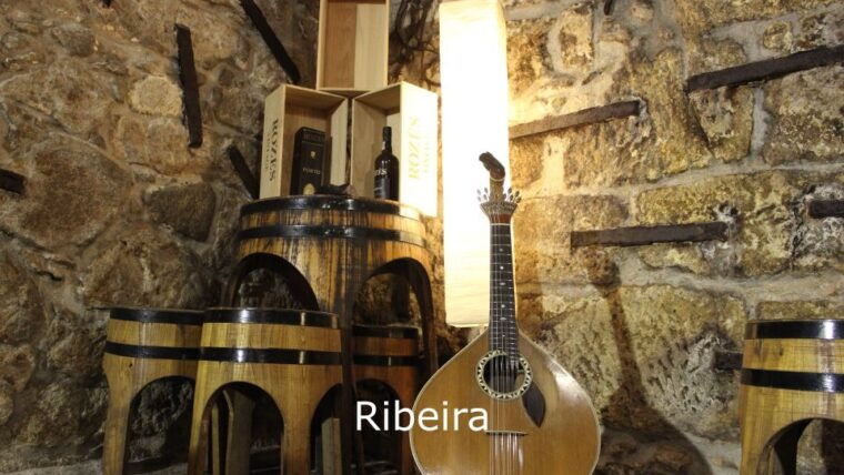 porto-live-fado-show-with-glass-of-port-wine