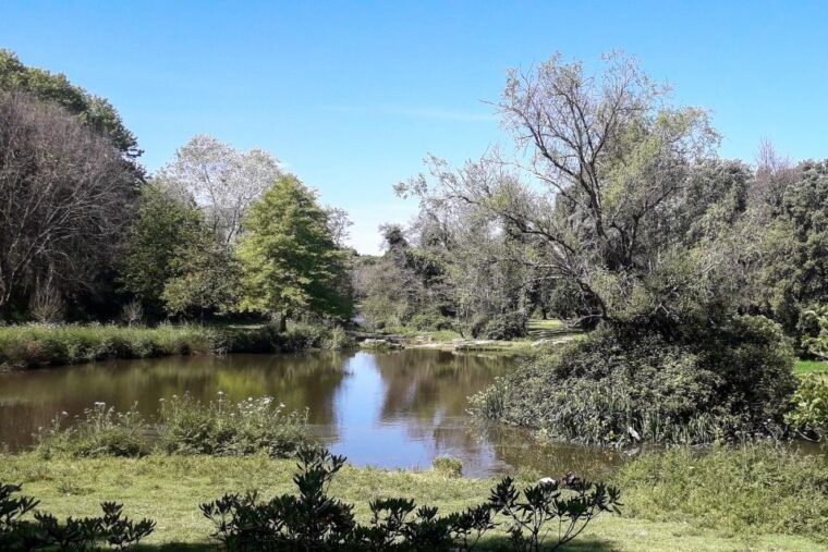 porto-riverbank-tour-on-an-e-bike-atlantic-coast-gardens
