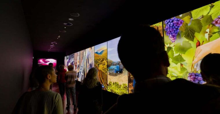 porto-taylors-port-wine-cellar-tour-the-wine-experience
