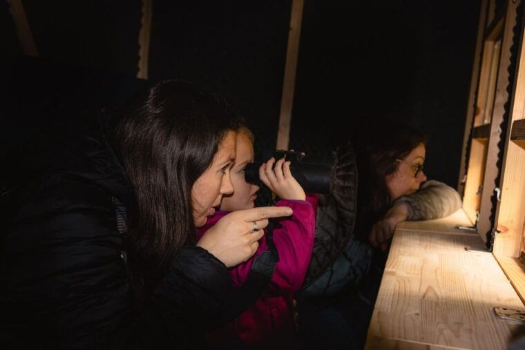 postojna-bear-watching-tour-with-ranger-and-local-guide