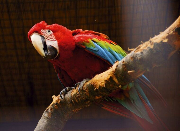 prague-boat-ride-to-the-zoo-and-admission-ticket