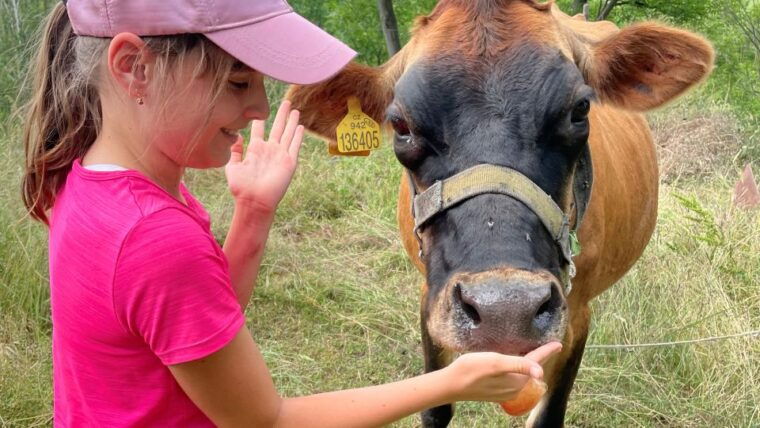 prague-bohemian-uplands-garnet-panninganimal-farm-4wd-tour