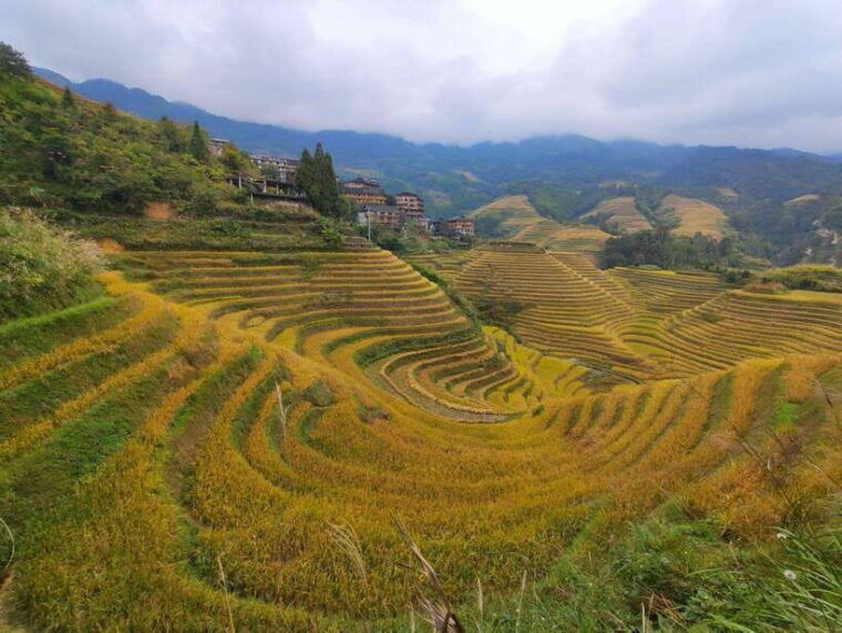 private-custom-tour-2-day-longji-rice-terraces-private-tour