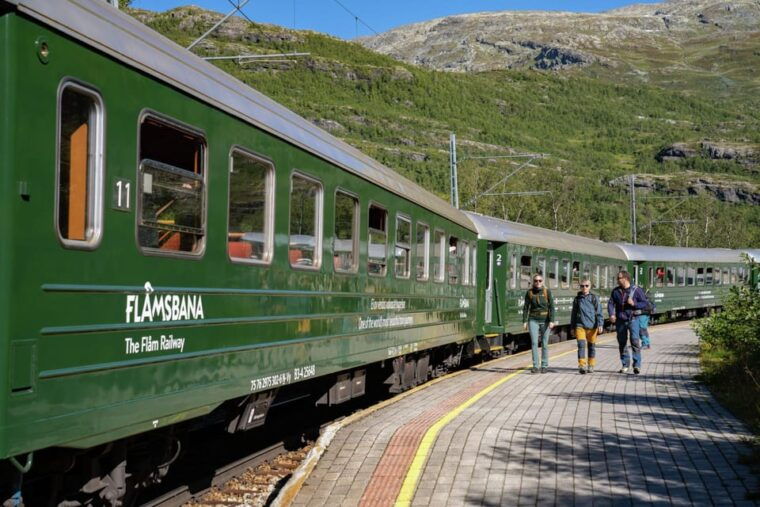 private-day-tour-flam-railway-fjord-cruise-from-bergen