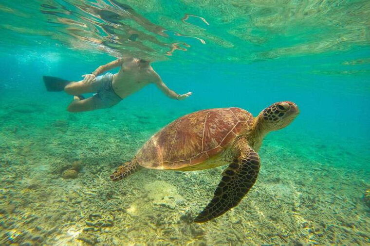 private-group-snorkeling-3-gili-islands-from-gili-trawangan