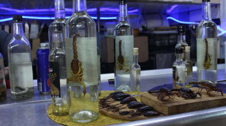 private-mexico-city-street-food-tour-best-rated