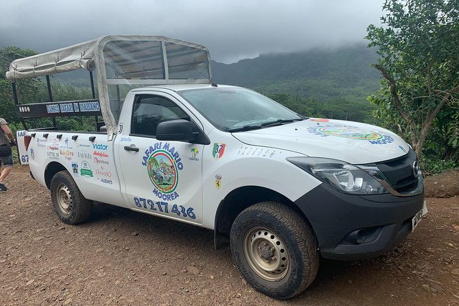 Private Morning Moorea 4WD Tour with Champagne - Final Thoughts: Who Is This Tour For?