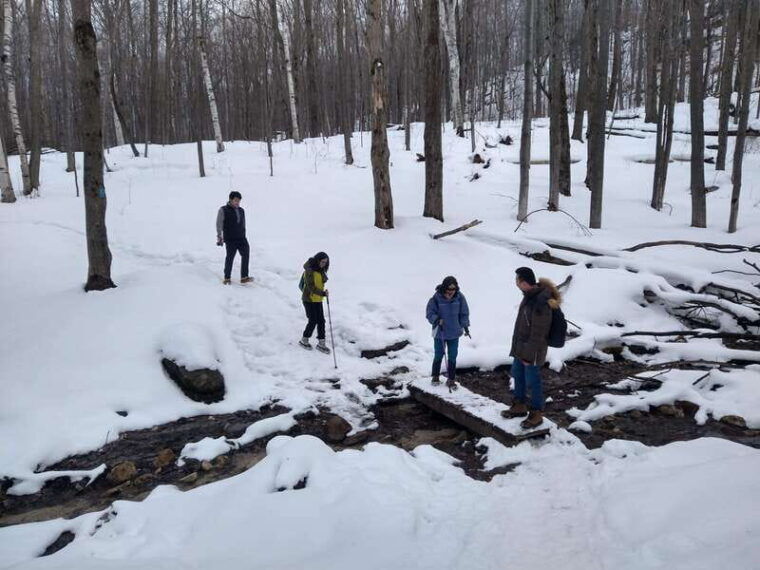 private-singhampton-caves-snowshoe-collingwood-blue-mountain