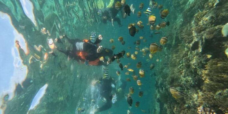 private-snorkeling-gili-islands-full-day-tour