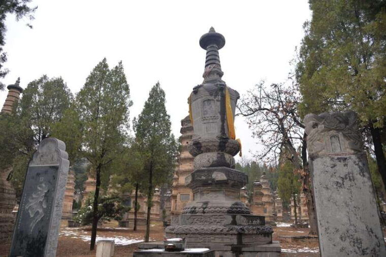 private-tour-longmen-grottoes-shaolin-temple-kungfu-show