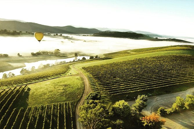 [PRIVATE TOUR] Yarra Valley Winery | Day Tour - Frequently Asked Questions
