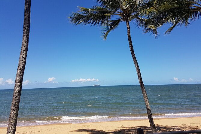 Private Transfers Cairns Airport to Port Douglas - FAQ