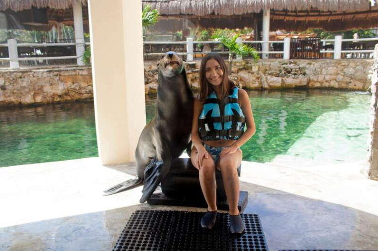 puerto-aventuras-sea-lion-discovery-ticket