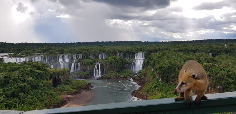 puerto-iguazu-2