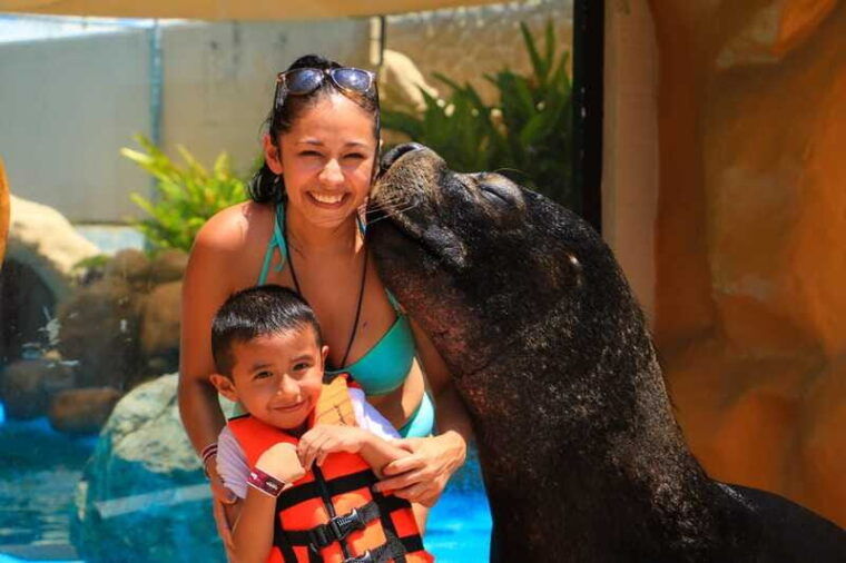 puerto-vallarta-sea-lion-discovery