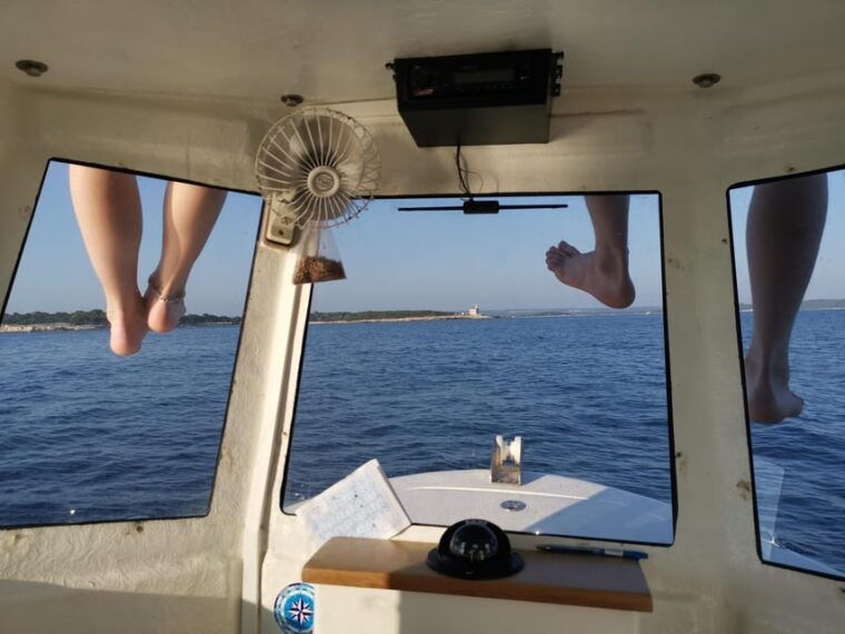 pula-dolphin-watching-boat-trip