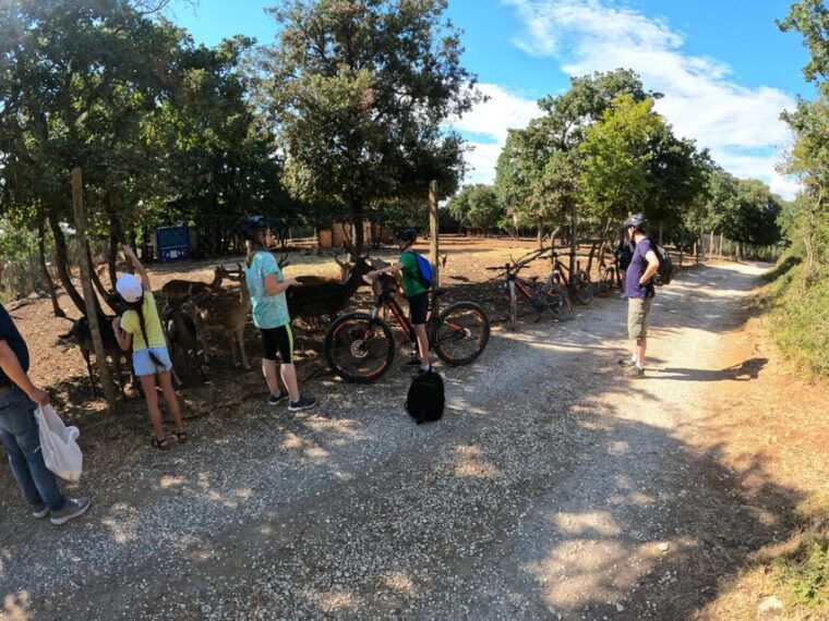 pula-vodnjan-rovinj-e-bike-swim-forteress-tour