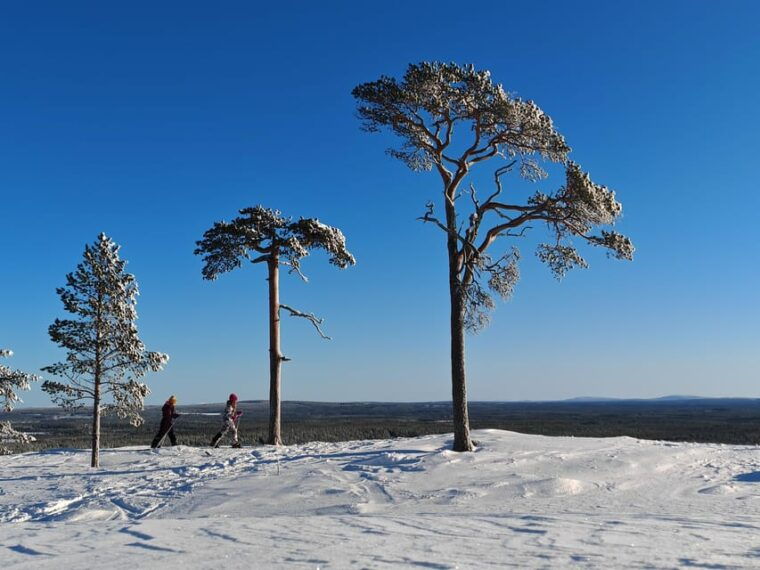 pyhatunturi-try-wilderness-skiing-in-finnish-lapland