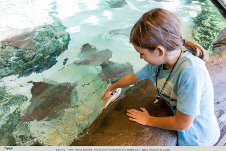 quebec-aquarium-of-quebec-entry-ticket