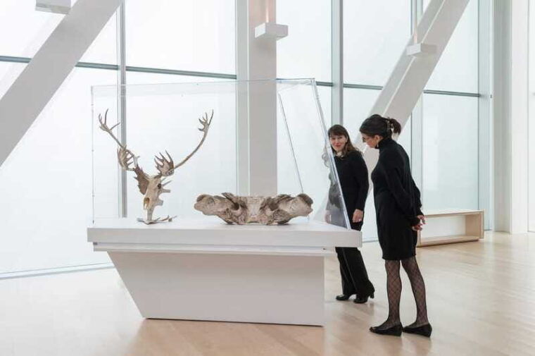 quebec-city-mnbaq-national-fine-arts-museum-entry-ticket