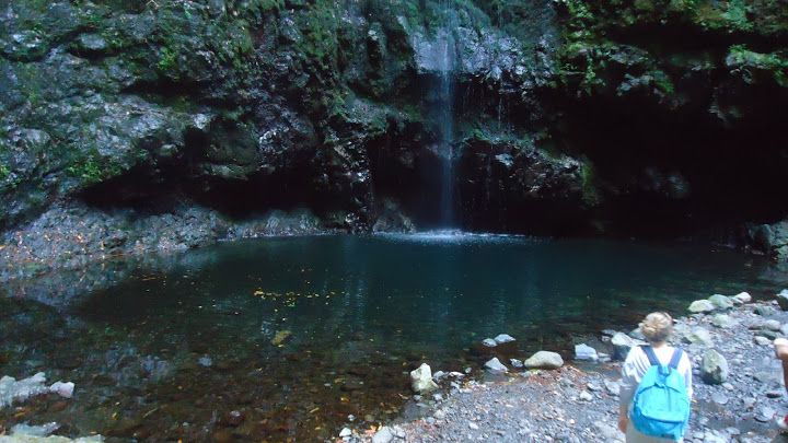 queimadas-natural-park-5-hour-guided-hike