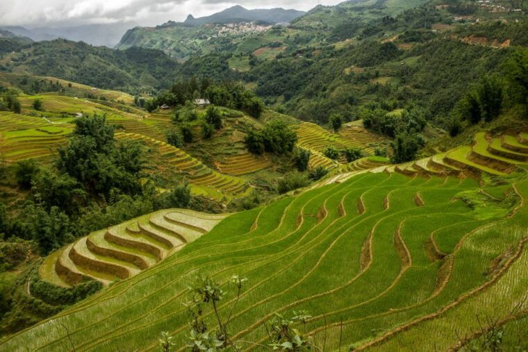 red-dao-village-trek-and-herbal-bath
