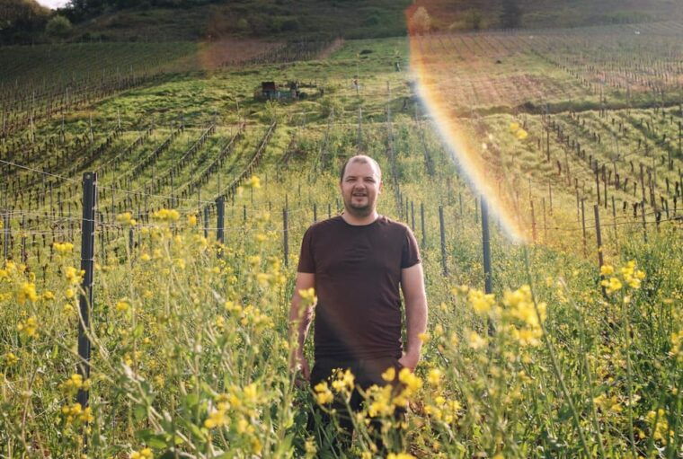 reil-mosel-guided-organic-wine-tasting-and-cellar-tour