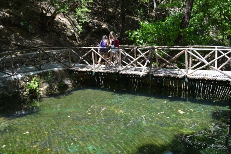 rhodes-filerimos-butterfly-valley-ancient-kamiros-tour