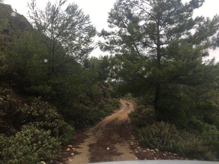 rhodes-full-day-4wd-northern-safari-tour