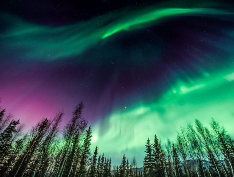 rovaniemi-private-aurora-hunting-tour-with-meal