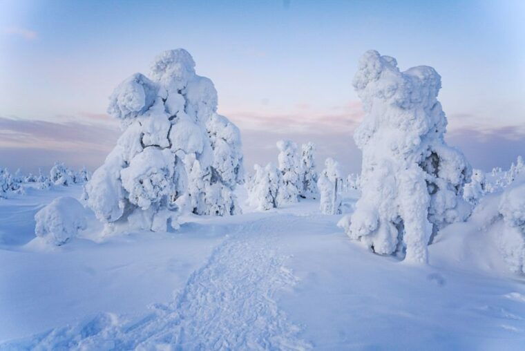 rovaniemi-riisitunturi-national-park-day-trip-with-lunch