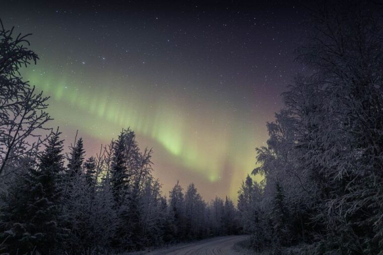 rovaniemi-sauna-ice-swimming-tour-with-dinner-and-aurora