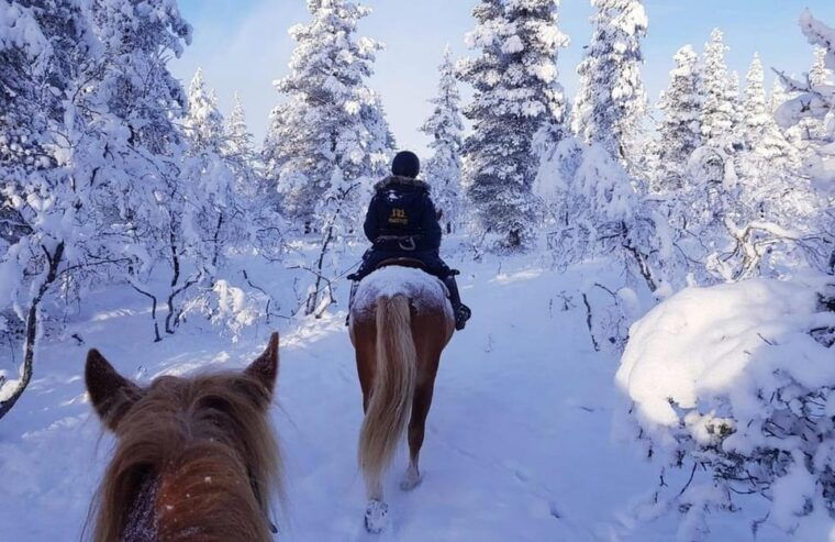 rovaniemi-winter-horse-riding-in-arctic-nature