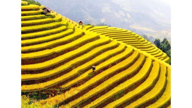 sa-pa-muong-hoa-valley-trek-ethnic-villages-tour