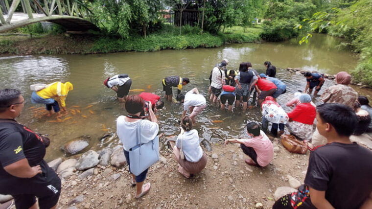sabah-kundasang-nature-day-tour