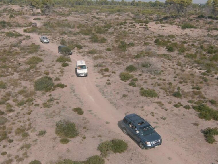 safari-birdwatching-in-vjosa-narta-protected-landscape