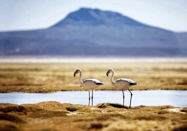 salinas-lagoon-adventure-full-day